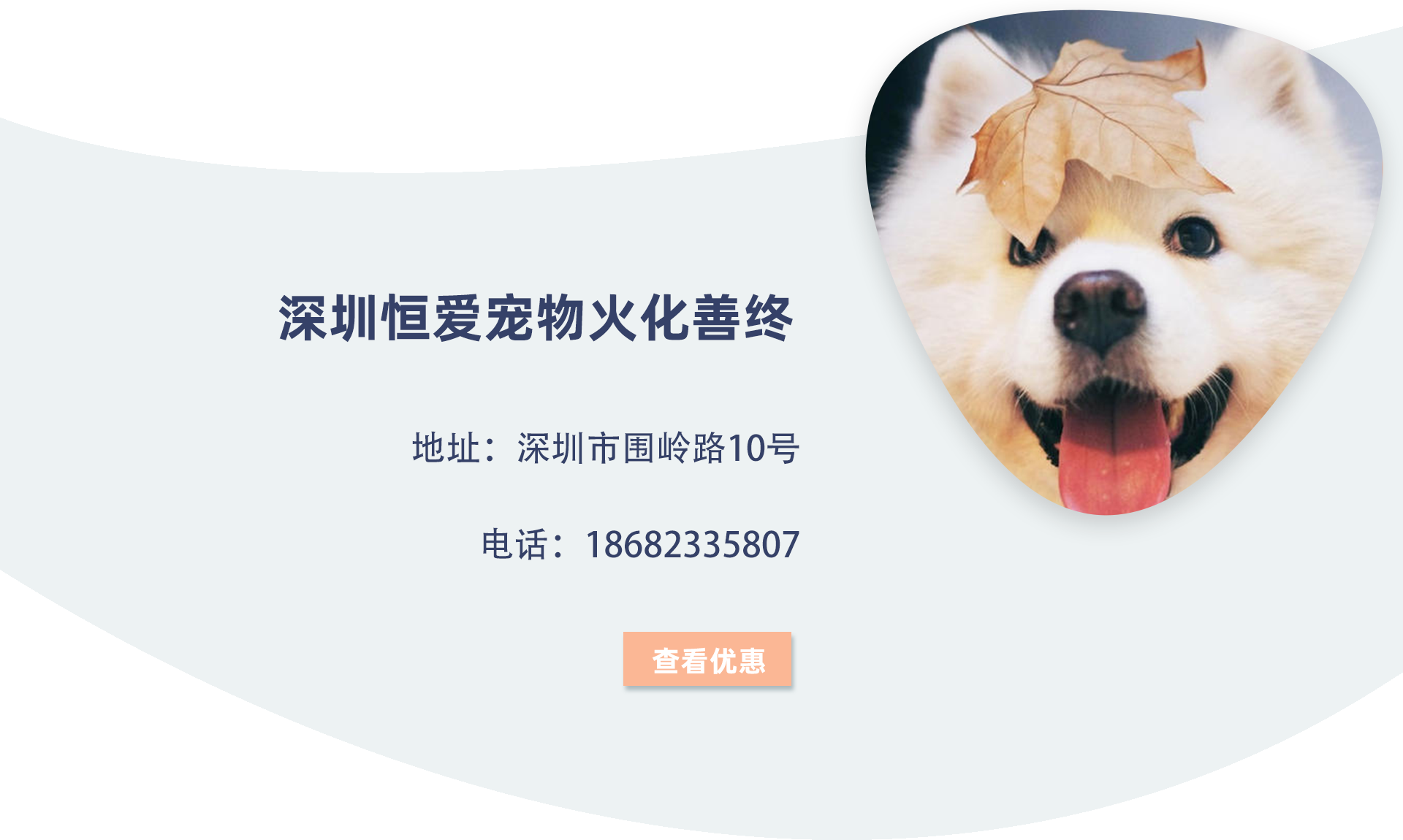 深圳宠物殡葬服务