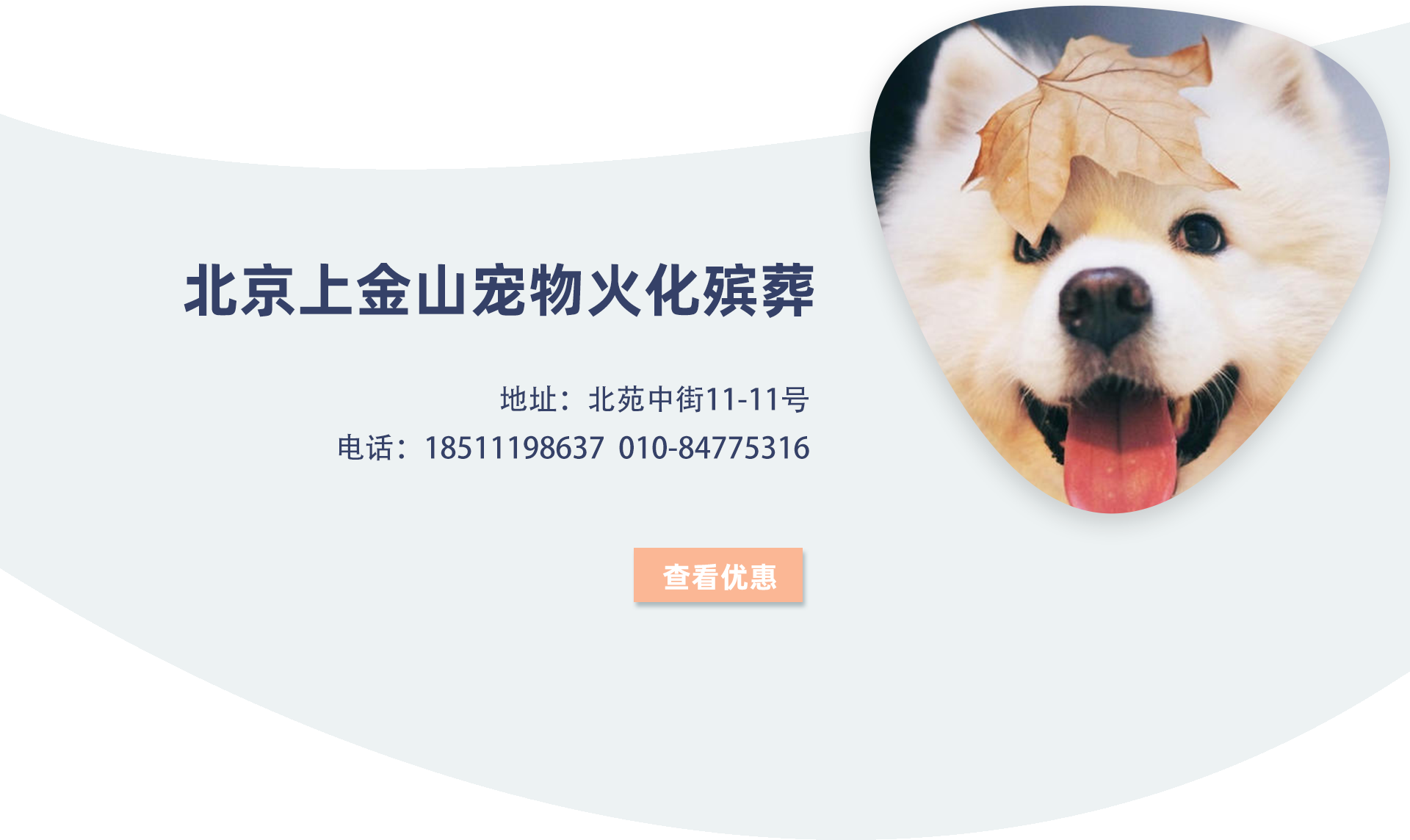 北京宠物殡葬服务