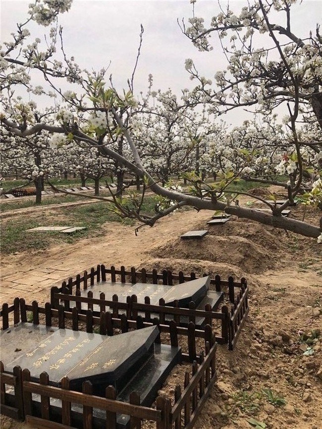 天津嘉禾宠物火化（特色：墓地/标本）｜再见宝贝全国宠物殡葬火化信息服务