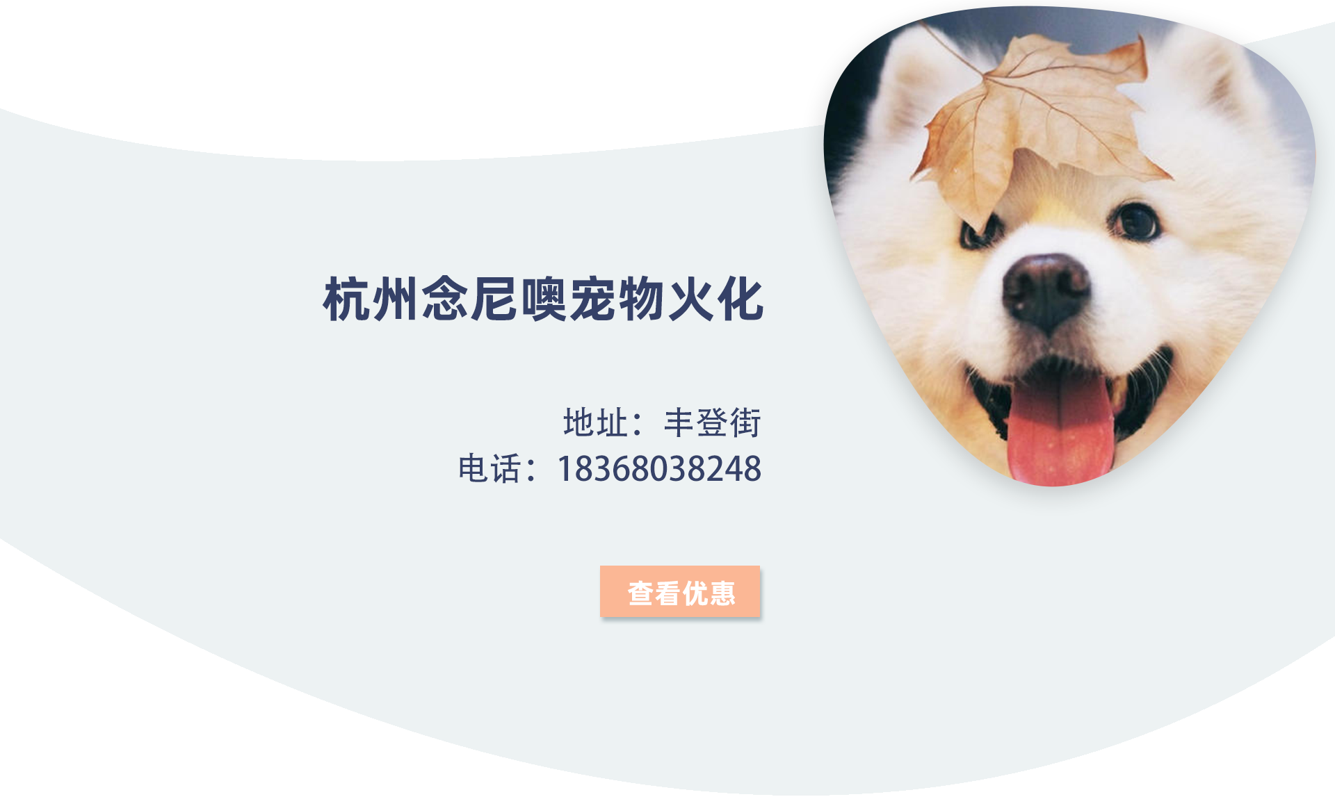 杭州宠物殡葬服务