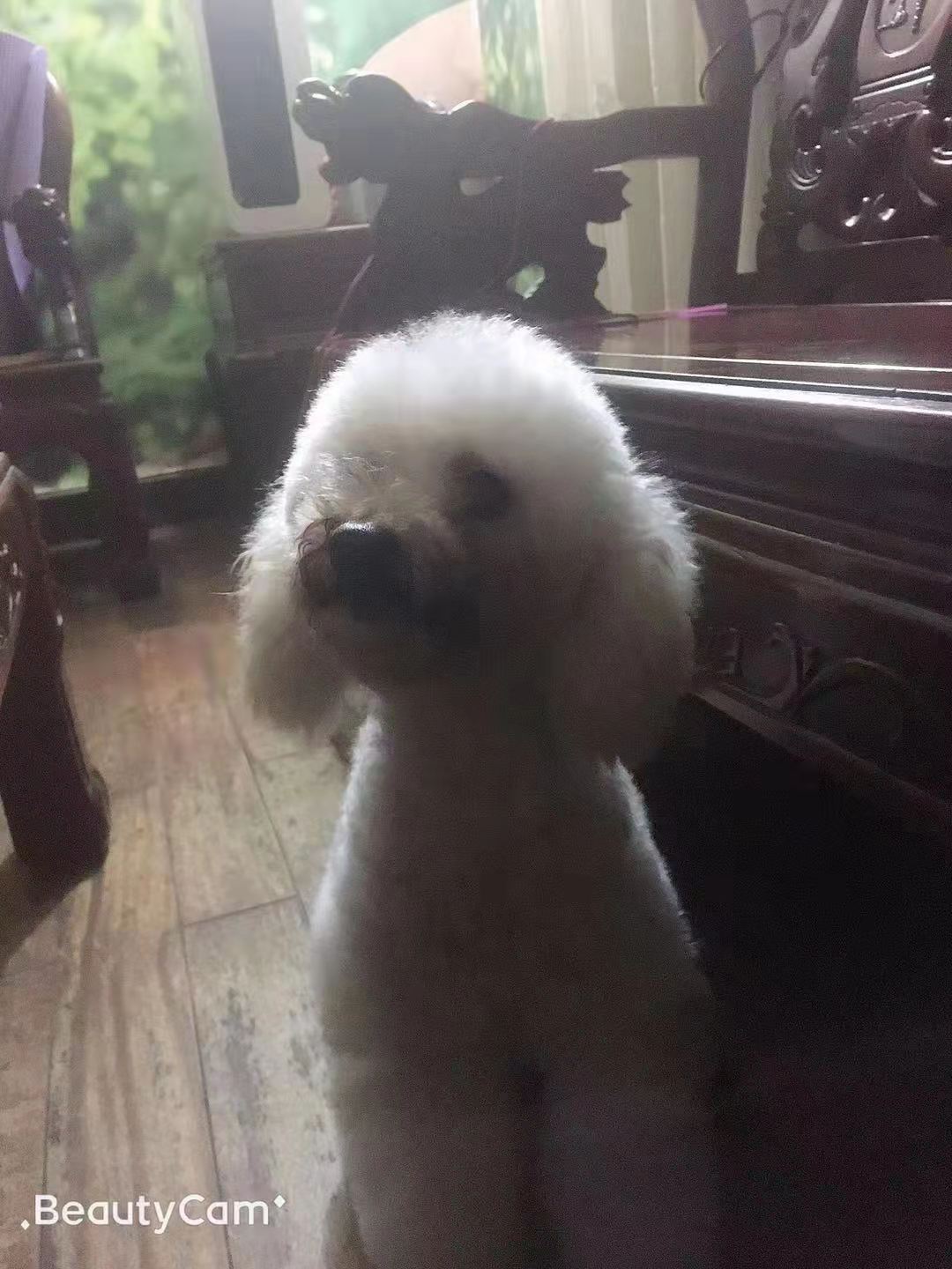 大米的纪念网站