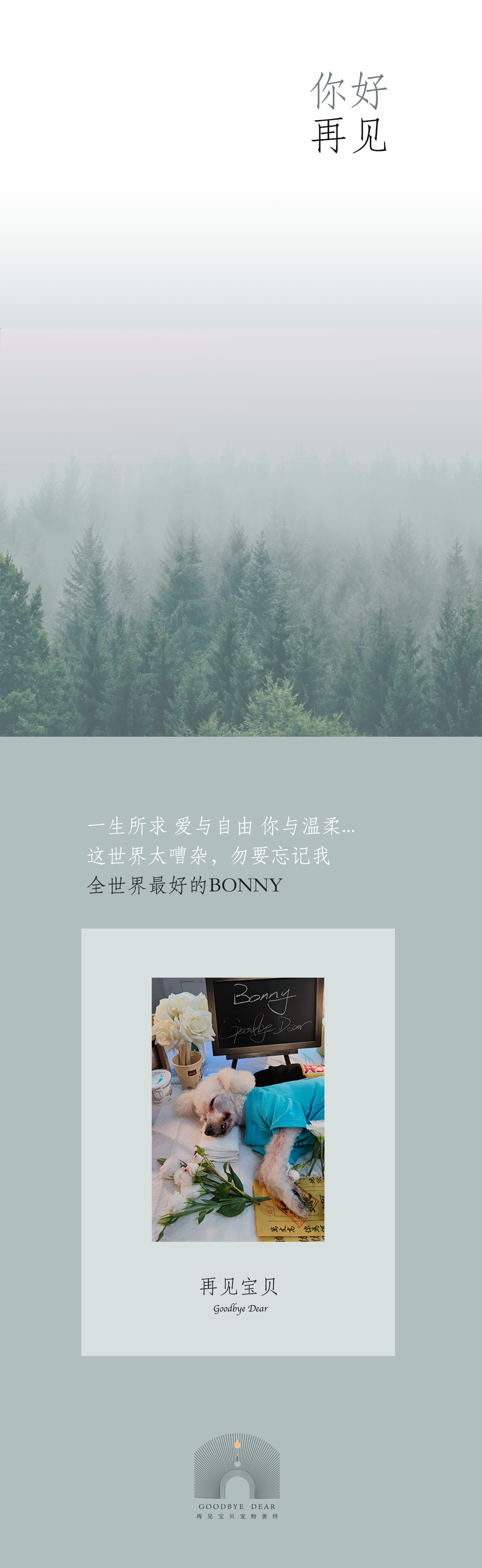 BONNY的纪念相册